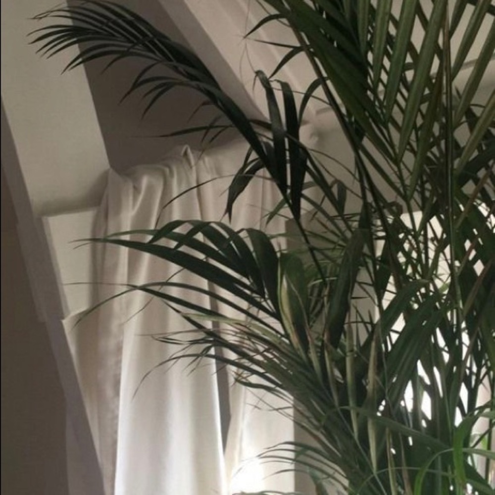 Meet your Posher, Noa